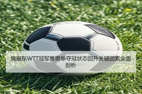 樊振东WTT冠军赛男单夺冠状态回升关键因素全面剖析