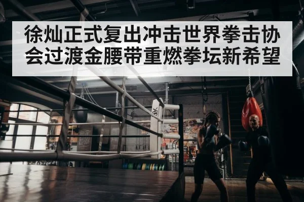 徐灿正式复出冲击世界拳击协会过渡金腰带重燃拳坛新希望